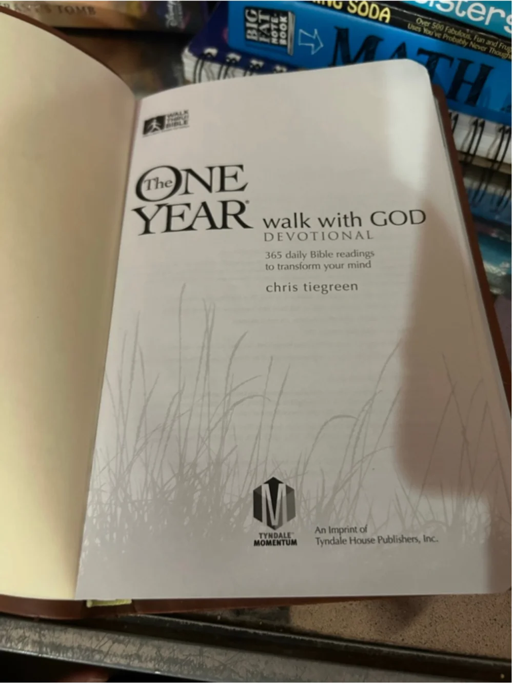 Unisex Tyndale Momentum Brown One Year Walk With God Devotional One Size